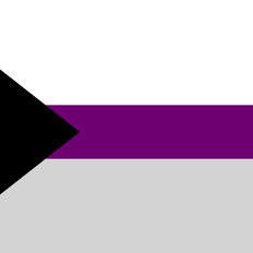 Demisexual